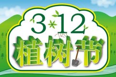 <b>2020植树节怎么发说说 植树节个性说说句子</b>