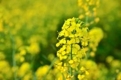 <b>四月唯美简短心情说说 2020四月你好说说句子</b>